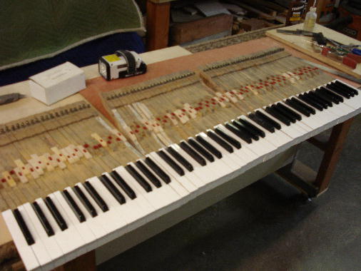 8 - New keytops shaped to the kys. Ready for installation in the piano